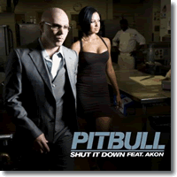 Cover: Pitbull feat. Akon - Shut It Down