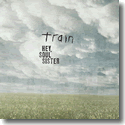 Cover:  Train - Hey, Soul Sister