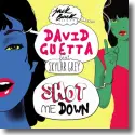 Cover:  David Guetta feat. Skylar Grey - Shot Me Down