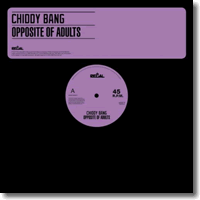 Cover: Chiddy Bang - Opposite Of Adults