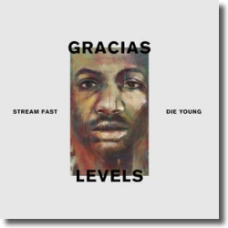 Cover: Gracias - Levels (Stream Fast, Die Young)