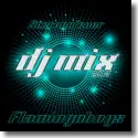 Flamingoboys - Sternenfeuer (DJ Mix 2014)
