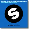 Cover:  Showtek feat. Matthew Koma - Cannonball (Earthquake)