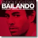 Cover:  Enrique Iglesias - Bailando