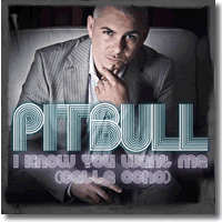 Cover: Pitbull - I Know You Want Me (Calle Ocho)