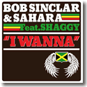 Bob Sinclar & Sahara feat. Shaggy - I Wanna