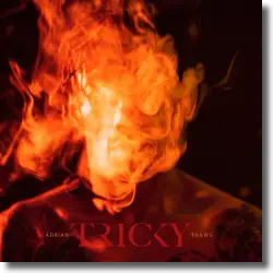 Cover: Adrian Thaws - Tricky