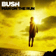 Cover: Bush - Man On The Run