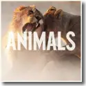 Cover:  Maroon 5 - Animals