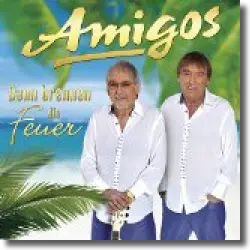 Cover: Amigos - Dann brennen die Feuer