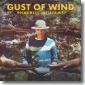 Cover: Pharrell Williams feat. Daft Punk - Gust Of Wind