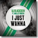 DJ Blackskin feat. Wallet Green - I Just Wanna