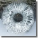 David Pfeffer - View
