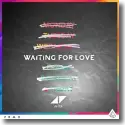 Cover:  Avicii - Waiting For Love
