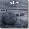 Cover:  a-ha - Under The Makeup