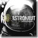 Cover:  Sido feat. Andreas Bourani - Astronaut