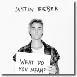 Cover: Justin Bieber - What Do You Mean?