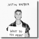 Cover:  Justin Bieber - What Do You Mean?