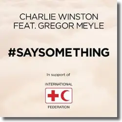 Cover: Charlie Winston feat. Gregor Meyle - Say Something