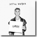 Cover:  Justin Bieber - Sorry