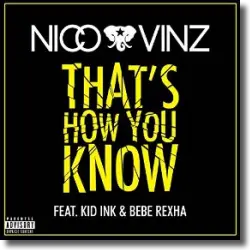 Cover: Nico & Vinz feat. Kid Ink & Bebe Rexha - That's How You Know