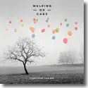 Walking On Cars - Everything This Way