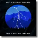 Cover:  Calvin Harris feat. Rihanna - This Is What You Came For