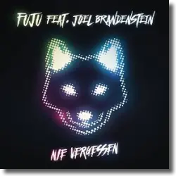 Cover: FUJU feat. Joel Brandenstein - Nie vergessen