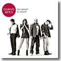 Cover:  Guano Apes - Oh What A Night