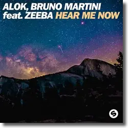 Cover: Alok & Bruno Martini feat. Zeeba - Hear Me Now