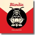 Blondie - Pollinator