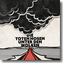 Cover:  Die Toten Hosen - Unter den Wolken