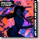 David Guetta feat. Nicki Minaj & Lil Wayne - Light My Body Up