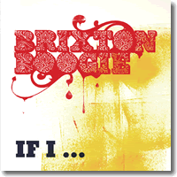 Cover: Brixtonboogie feat. Nataly Dorra - If I...