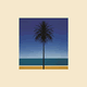 Cover: Metronomy - The English Riviera