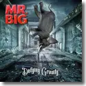 Cover:  Mr. Big - Defying Gravity