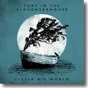 Fury In The Slaughterhouse - Little Big World  Live & Acoustic