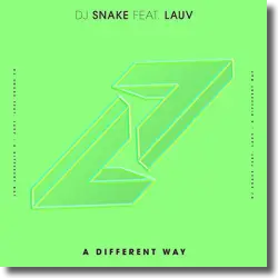 Cover: DJ Snake feat. Lauv - A Different Way