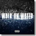 Cover:  Eminem feat. Beyonc - Walk On Water