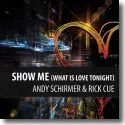 Cover:  Andy Schirmer & Rick Cue - Show Me (What Is Love Tonight)