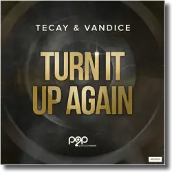 Cover: TeCay & Vandice - Turn It Up Again