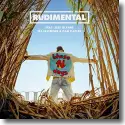 Cover:  Rudimental feat. Jess Glynne, Macklemore & Dan Caplen - These Days