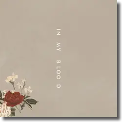 Cover: Shawn Mendes - In My Blood