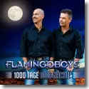 Cover:  Flamingoboys - 1000 Tage 1000 Nchte