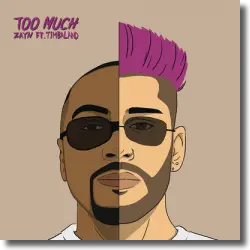 Cover: Zayn feat. Timbaland - Too Much