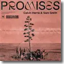 Cover:  Calvin Harris feat. Sam Smith - Promises