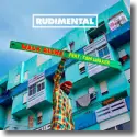 Cover:  Rudimental feat. Tom Walker - Walk Alone