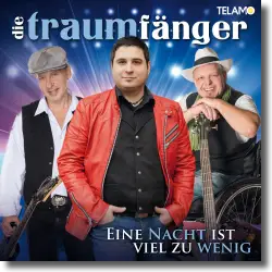 Cover: Die Traumfnger - Eine Nacht ist viel zu wenig