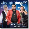 Cover:  Die Traumfnger - Eine Nacht ist viel zu wenig