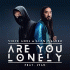 Cover: Steve Aoki & Alan Walker feat. ISK - Are You Lonely